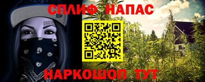 спиды Кинель