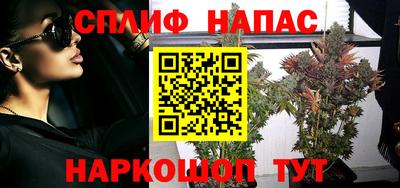 мдпв Кимры
