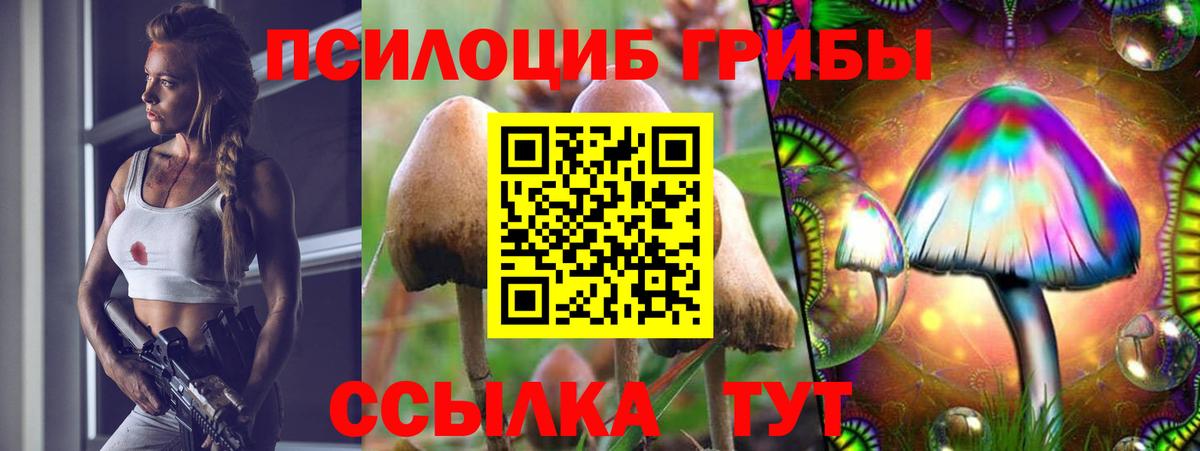 Псилоцибиновые грибы мицелий Биробиджан